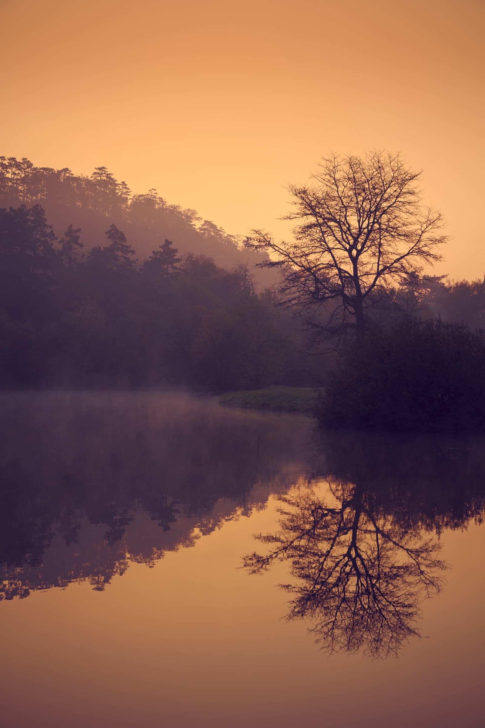 A calm lake at sunrise, still water and soft morning light